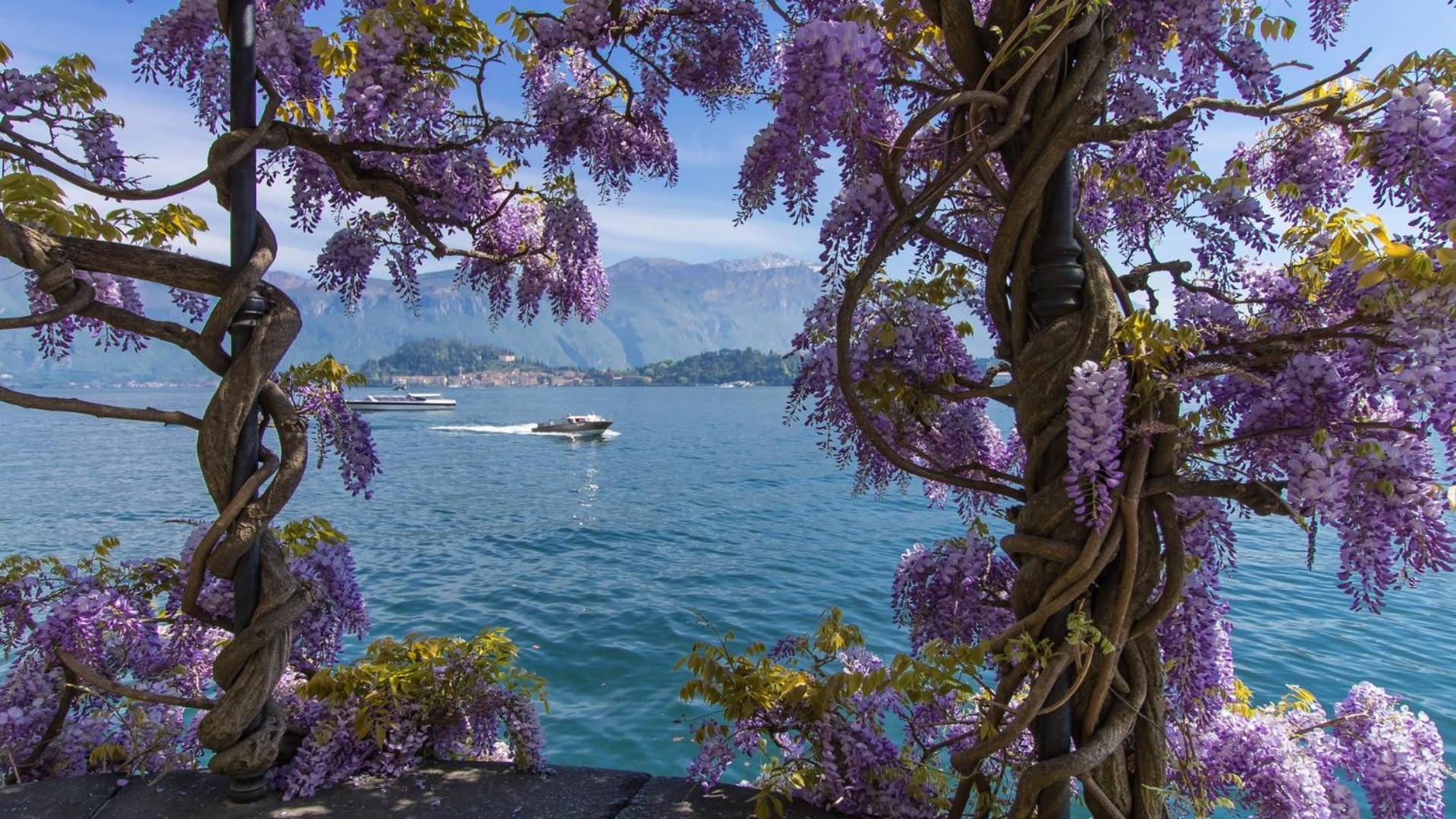 Residence Degli Oleandri 6A Argegno Εξωτερικό φωτογραφία